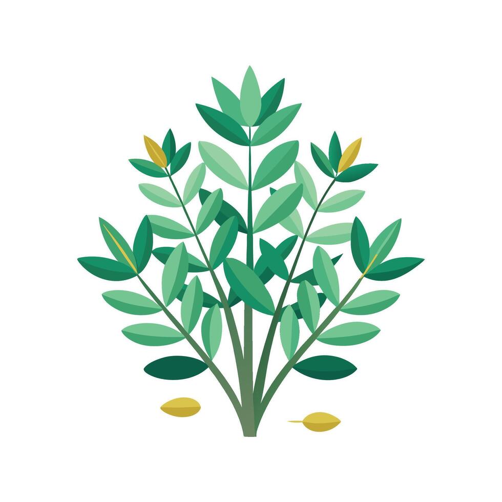 Richly Detailed Senecio Plant Image vector