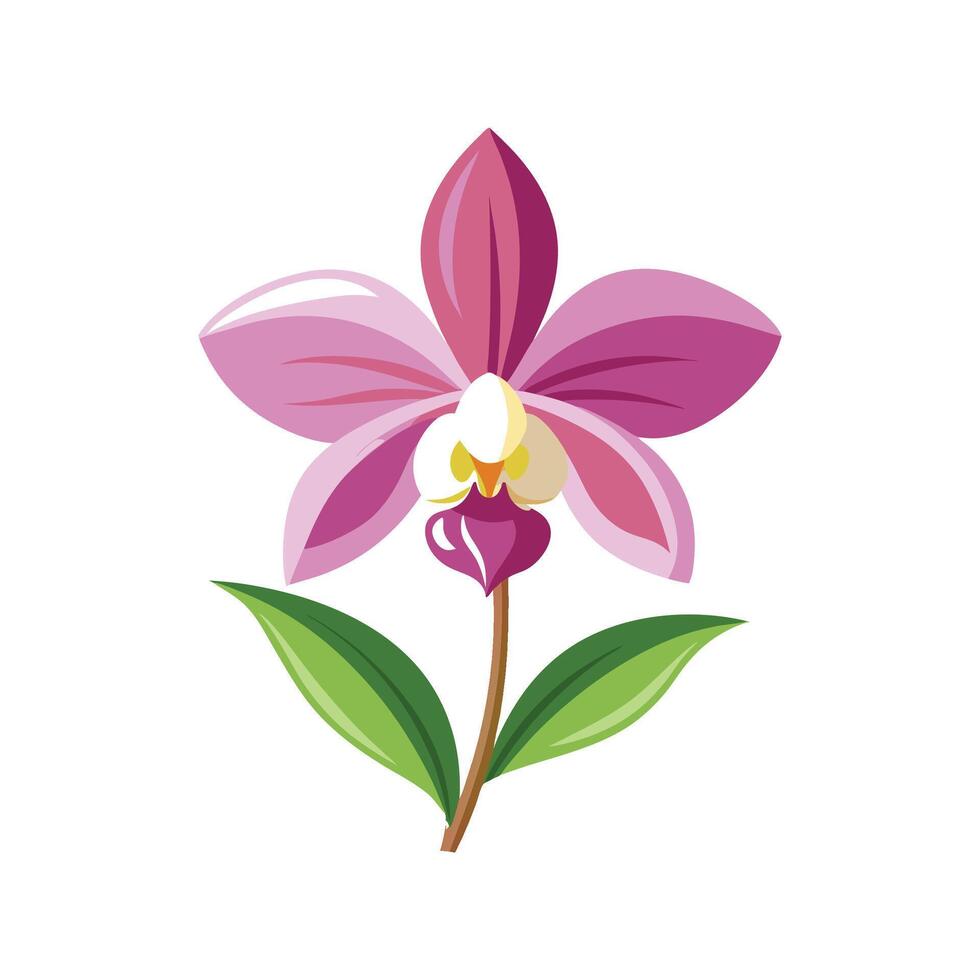 Elegant Sepal Orchid Illustration vector