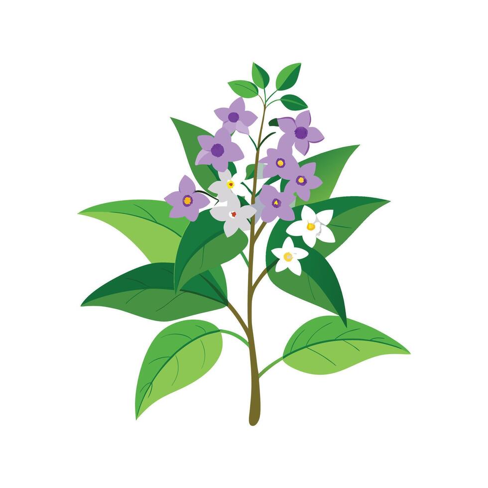 Stylish Duranta Skyflower Artwork vector