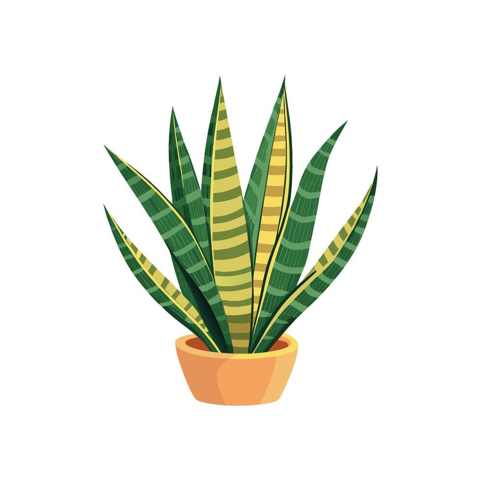 Unique Snake Plant Design Illustration vector