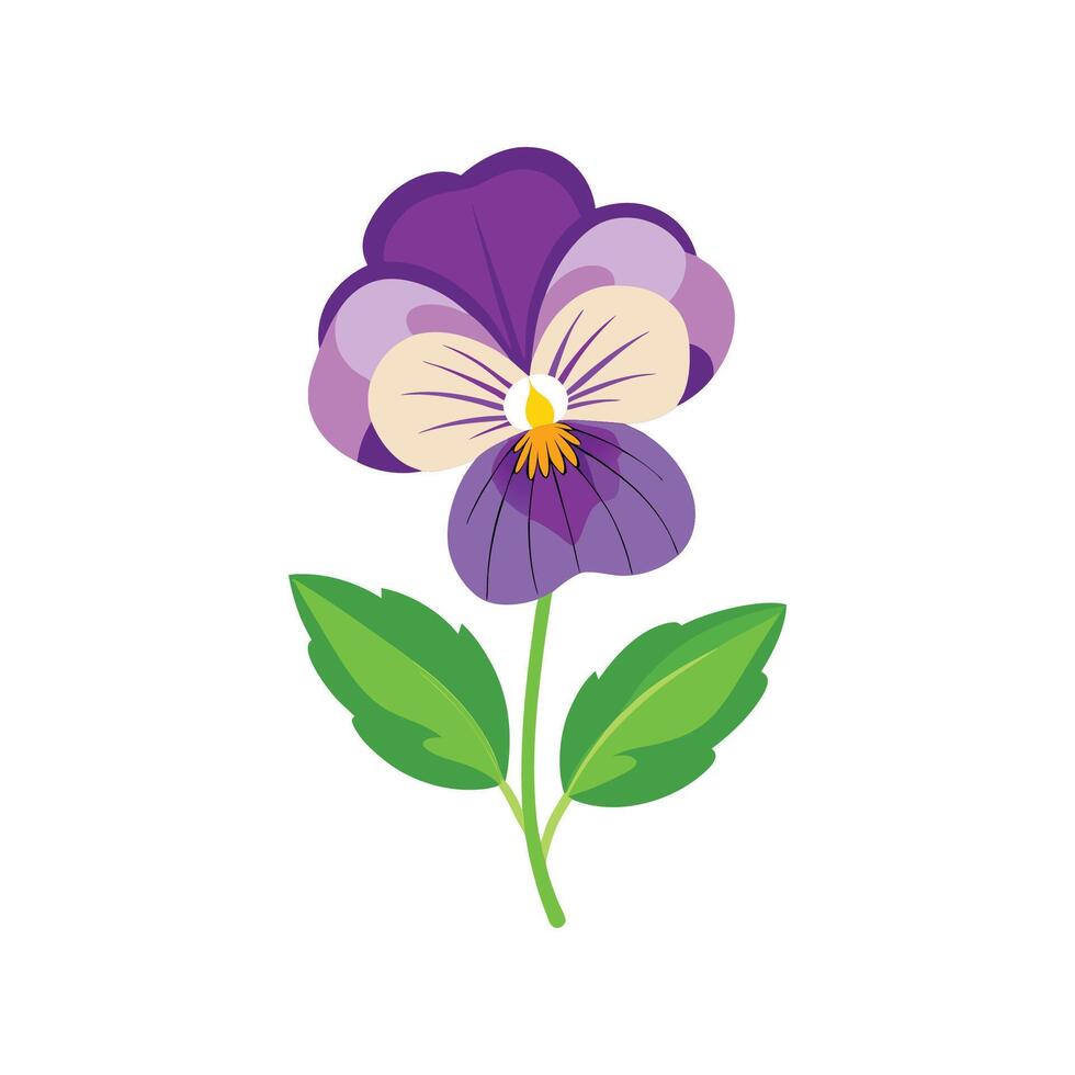 Elegant Small Pansy Illustration vector