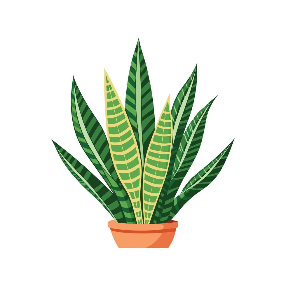 Charming Snake Plant Artwork vector