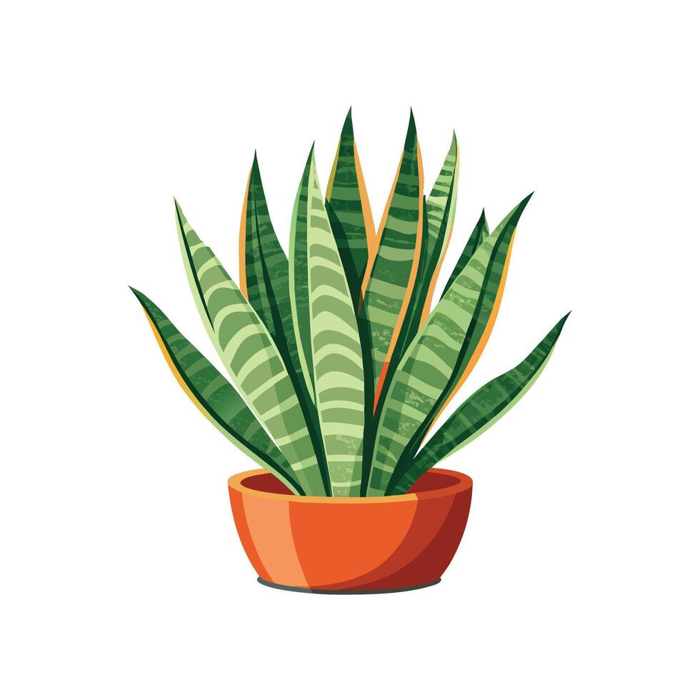 Stylish Snake Plant Image vector