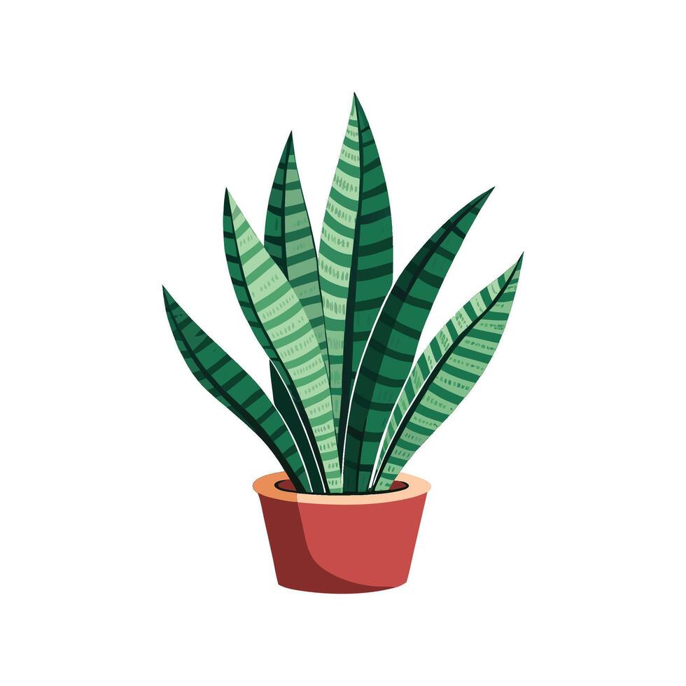 Elegant Laurentii Snake Plant Illustration vector