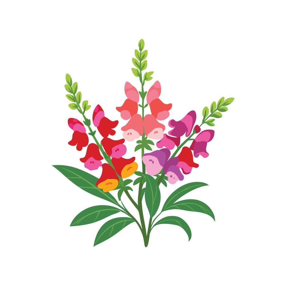 Unique Snapdragons Plant vector