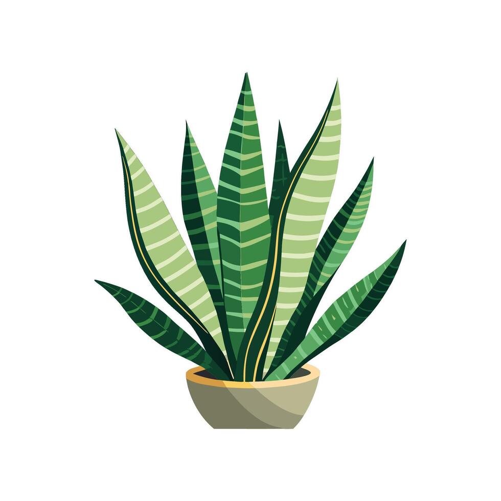 Stylish Trifasciata Snake Plant Design. vector