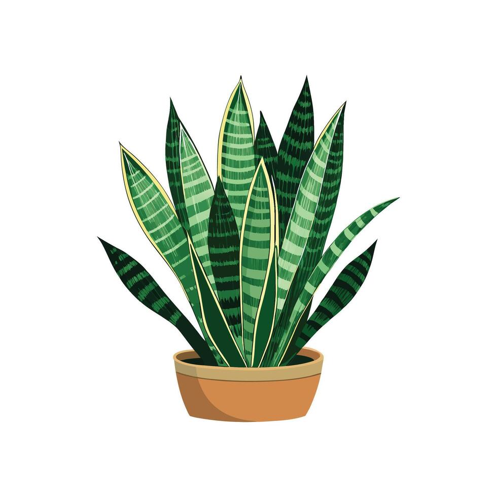 Artistic Trifasciata Snake Plant Graphic vector