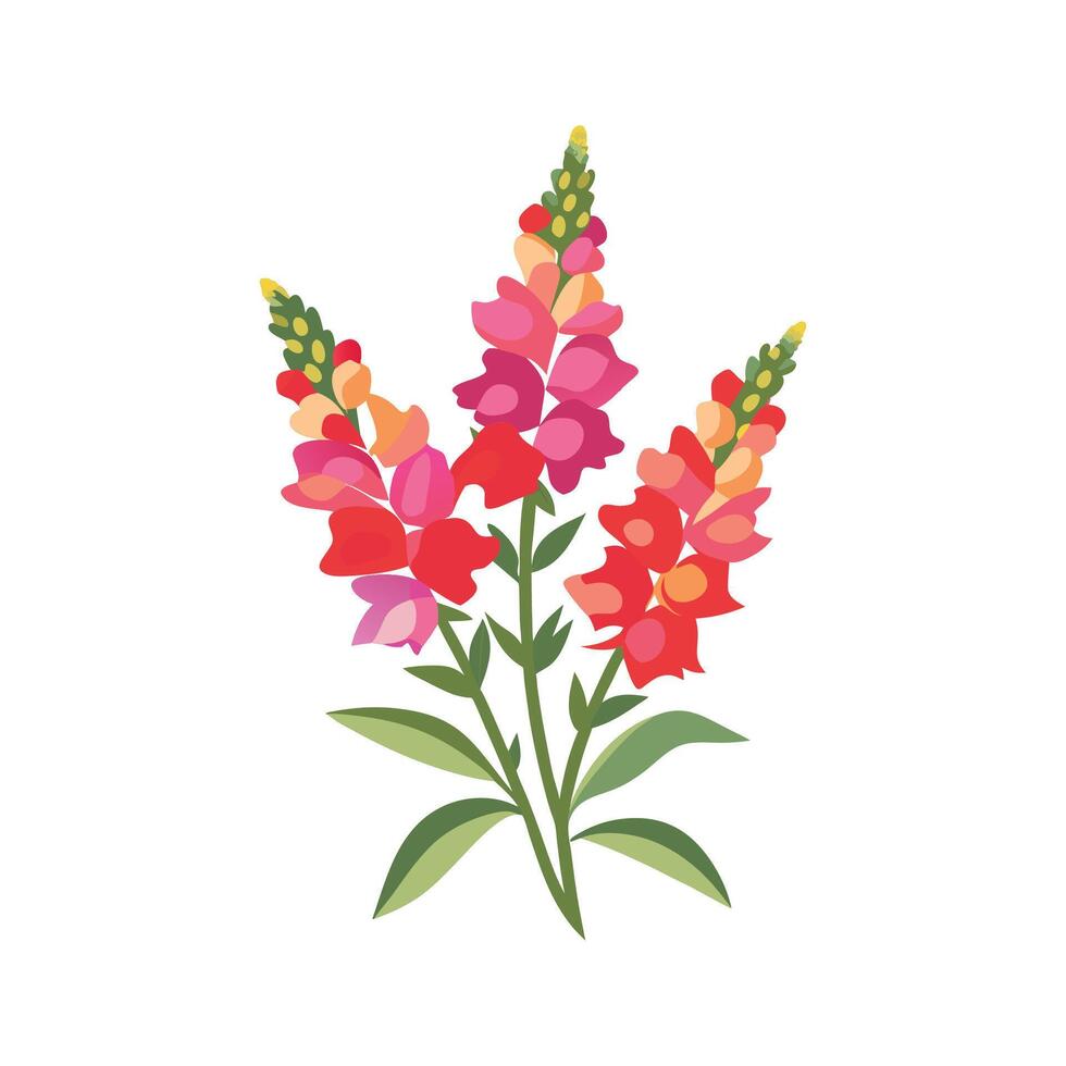 Elegant Snapdragons Illustration vector
