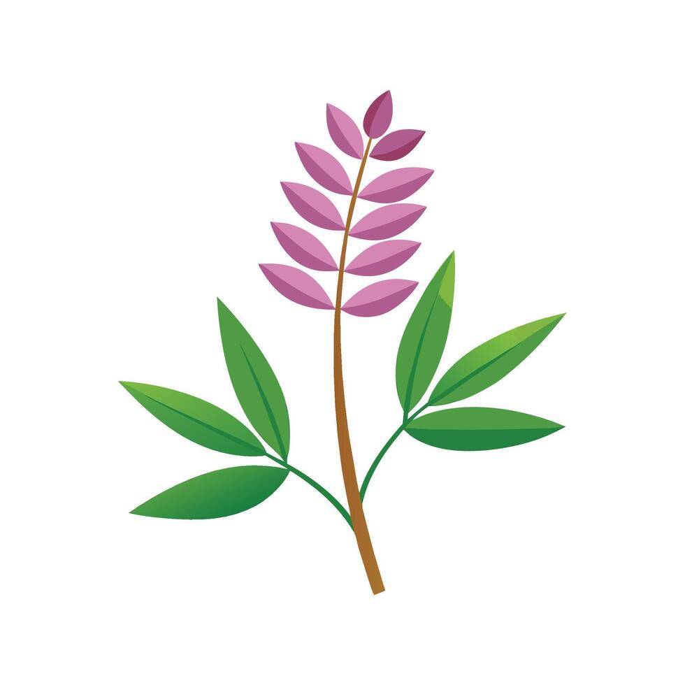 Stylish Soleirolia Artwork vector