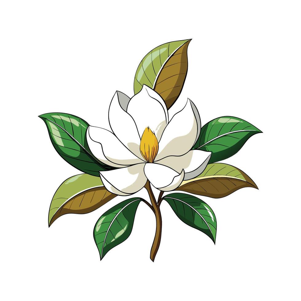 Unique Grandiflora Magnolia Plant vector