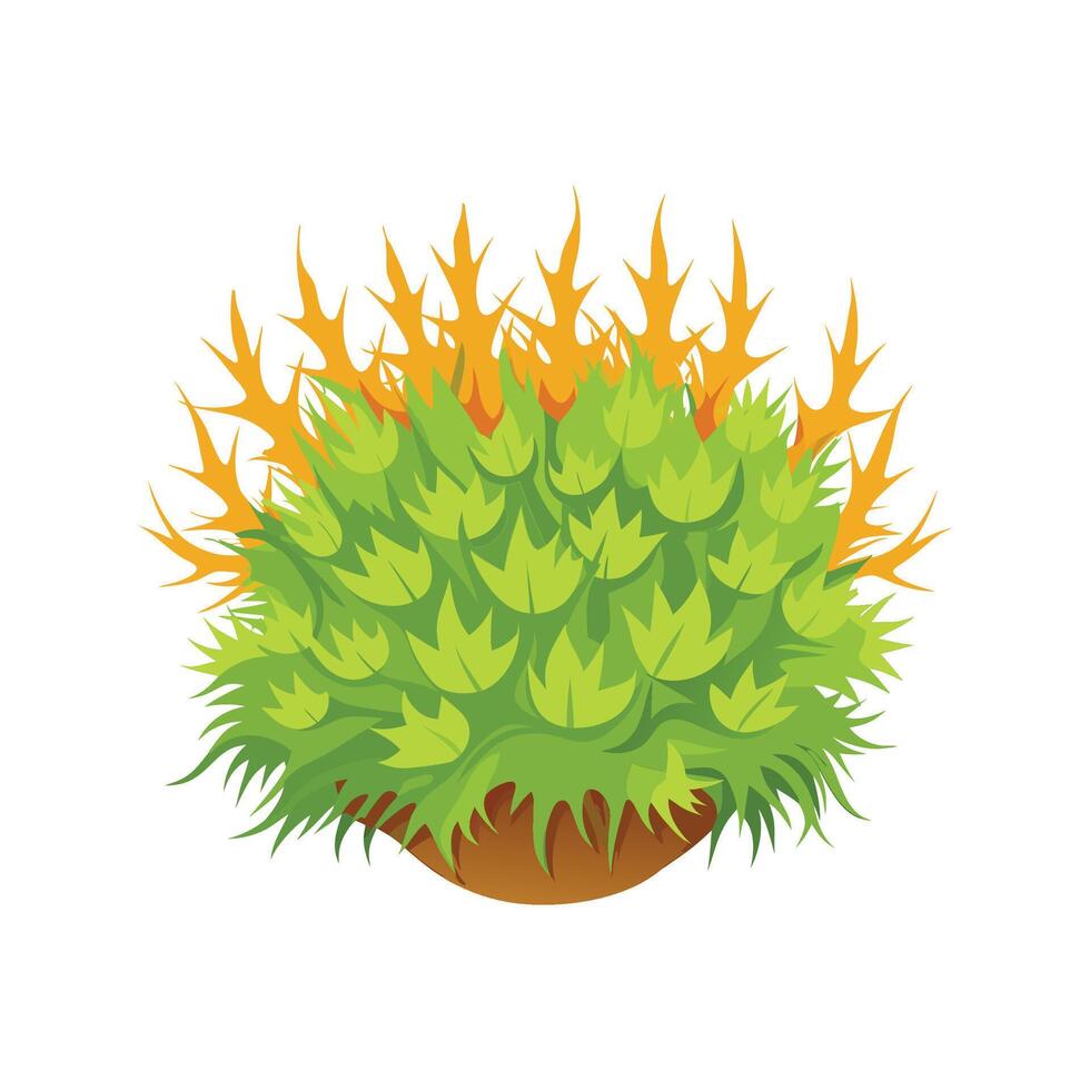 Elegant Sphagnum Moss for Interior Design vector