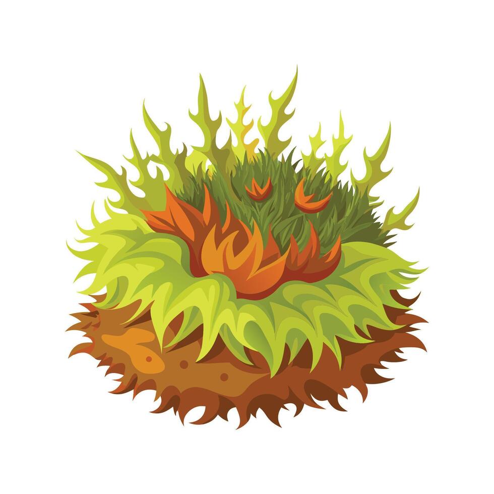 Sphagnum Moss for Natural Aesthetic vector