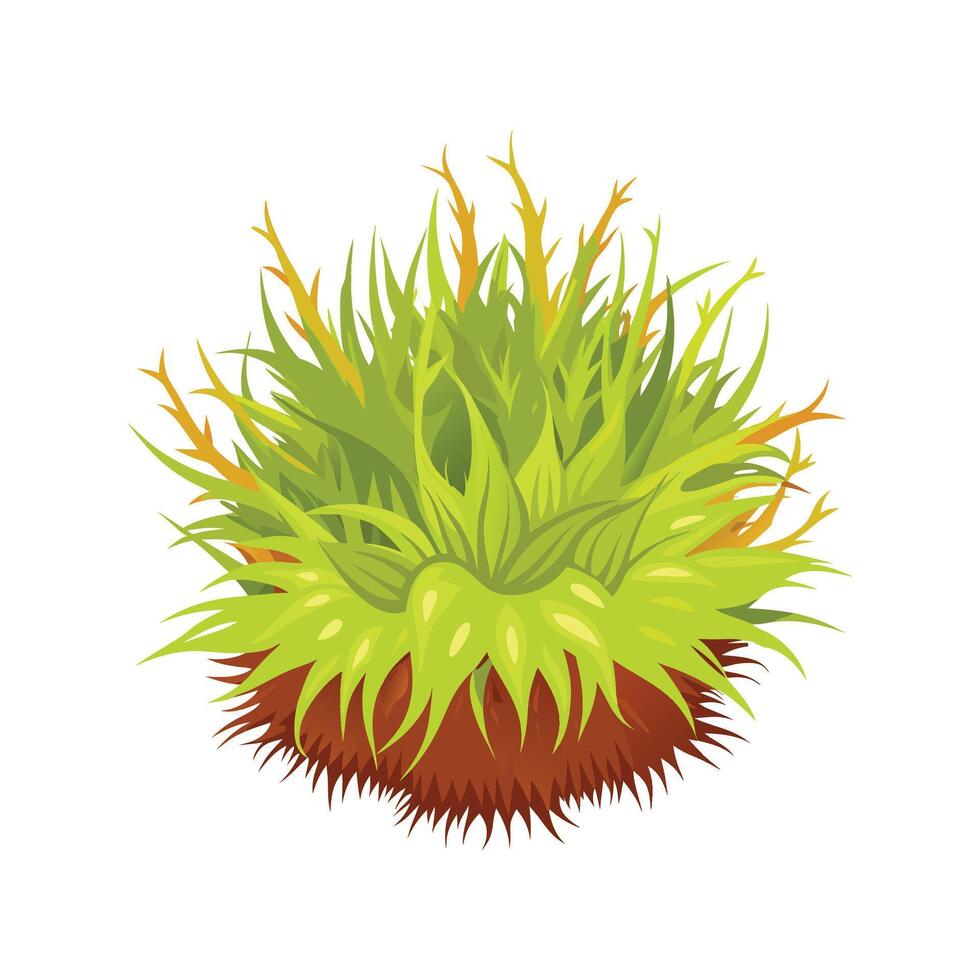 Charming Sphagnum Moss for Creative Use vector