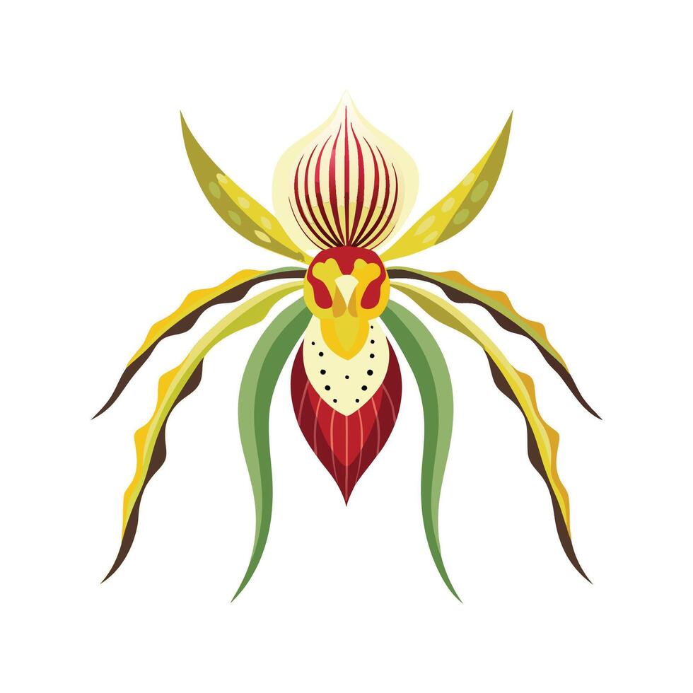 Charming Spider Orchid for Nature Lovers vector