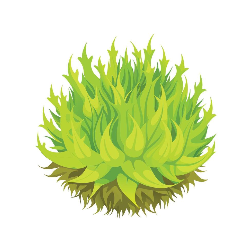 Artful Representation of Sphagnum Moss vector
