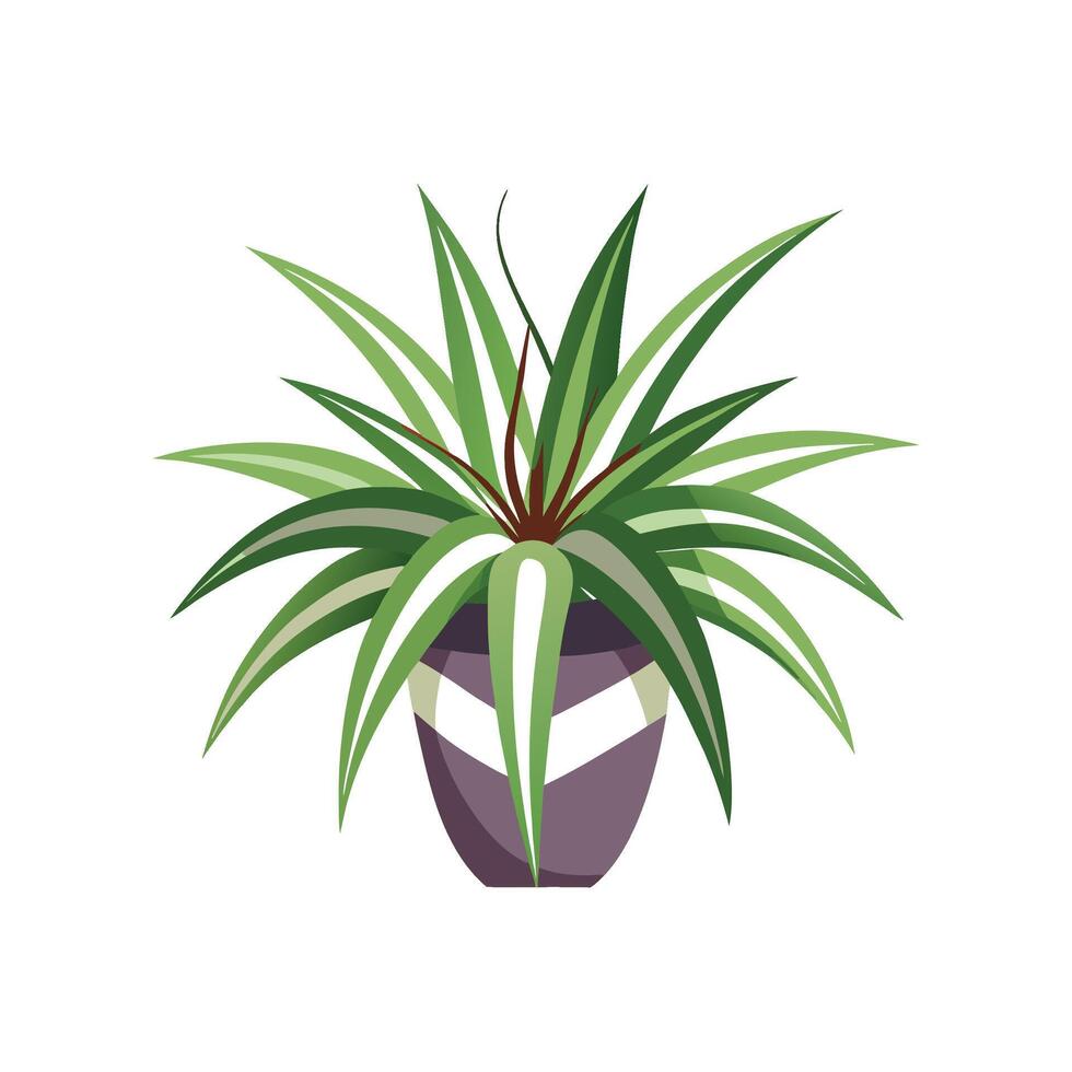 Artful Spider Plant for Home Decor vector