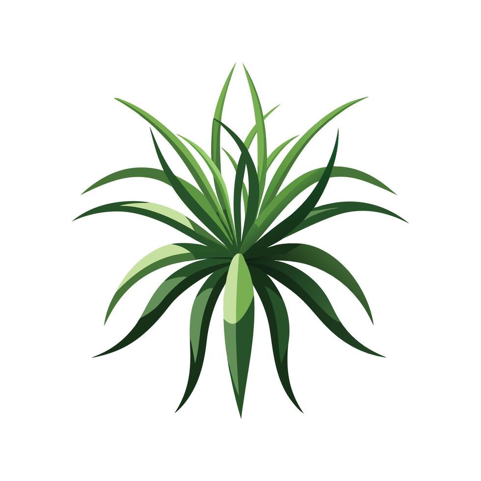 Sleek Spider Plant for Creative Aesthetics vector