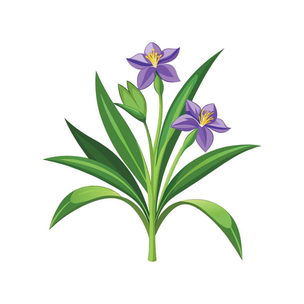 Stylish Spiderwort for Artistic Creations vector