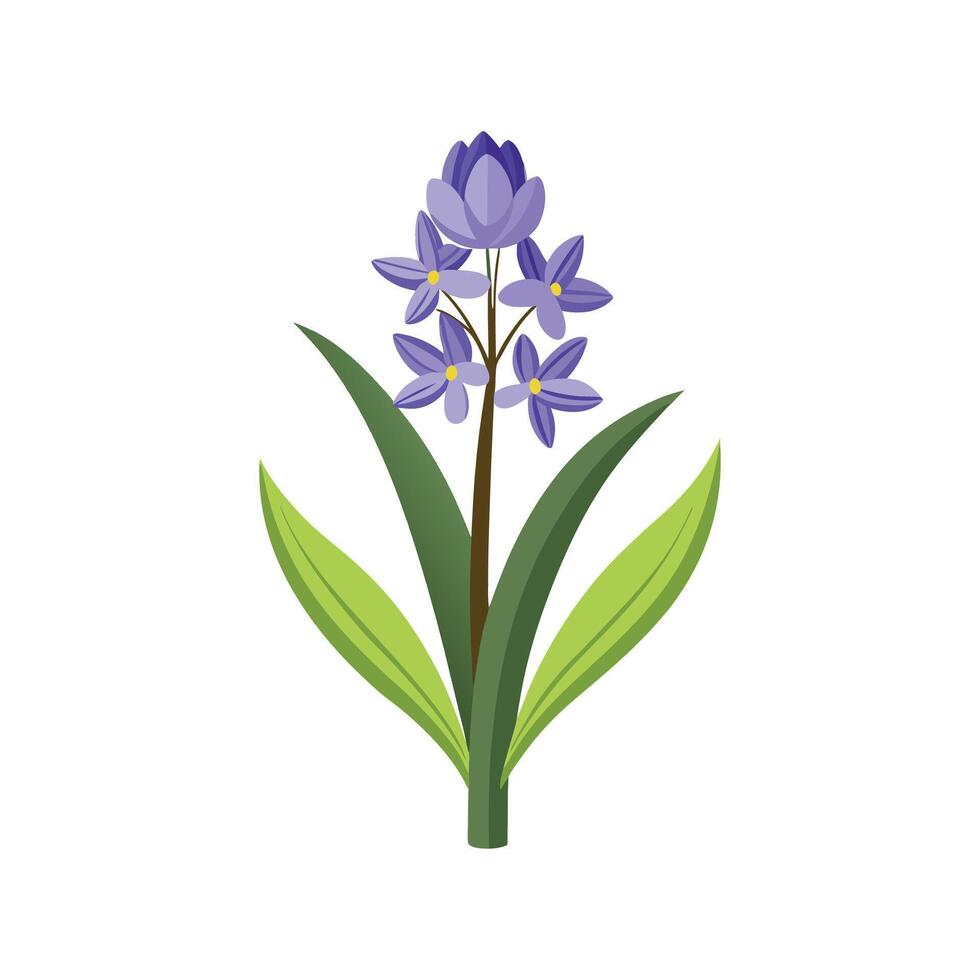 Stylish Squill for Artistic Aesthetics vector