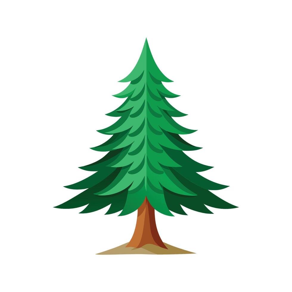 Stunning Picea Tree for Creative Designs vector