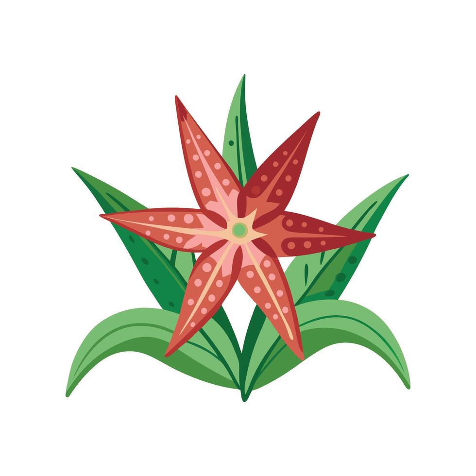 Unique Starfish Plant for Creative Projects vector