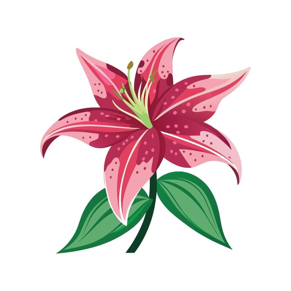 Stylish Star Gazer Lily for Artistic Uses vector