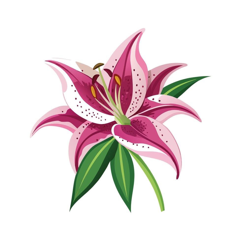 Artistic Star Gazer Lily for Nature Lovers vector
