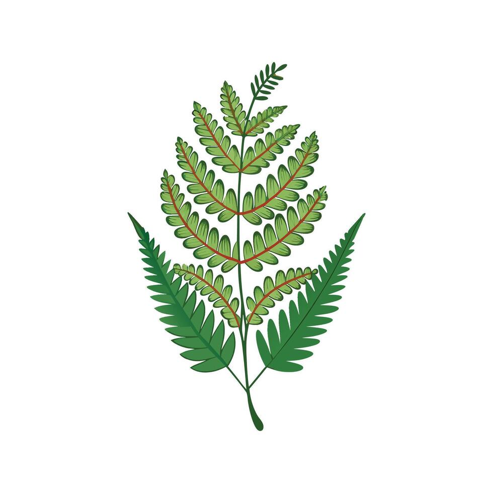 Charming Stitching Fern for Artistic Uses vector