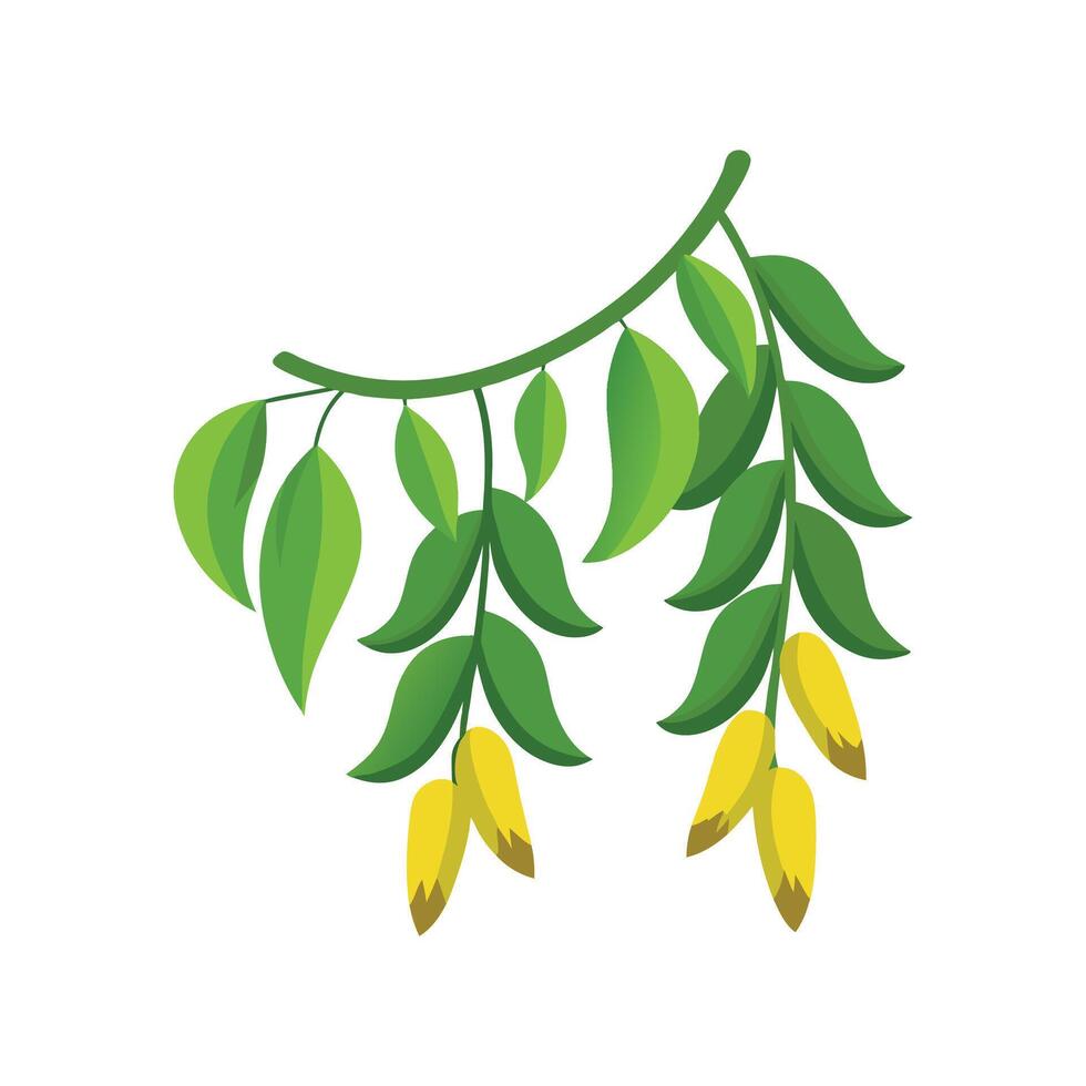 Beautiful String of Bananas for Nature Lovers vector