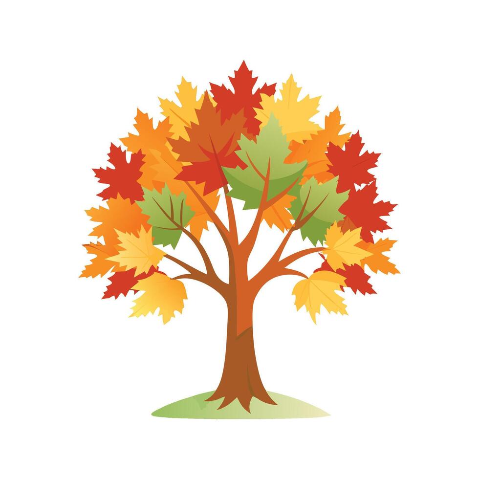 Charming Sugar Maple for Unique Decor vector
