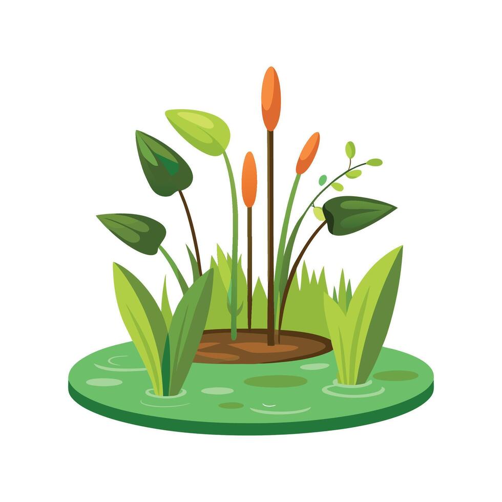 Unique Swamp Plant for Natural Aesthetics vector