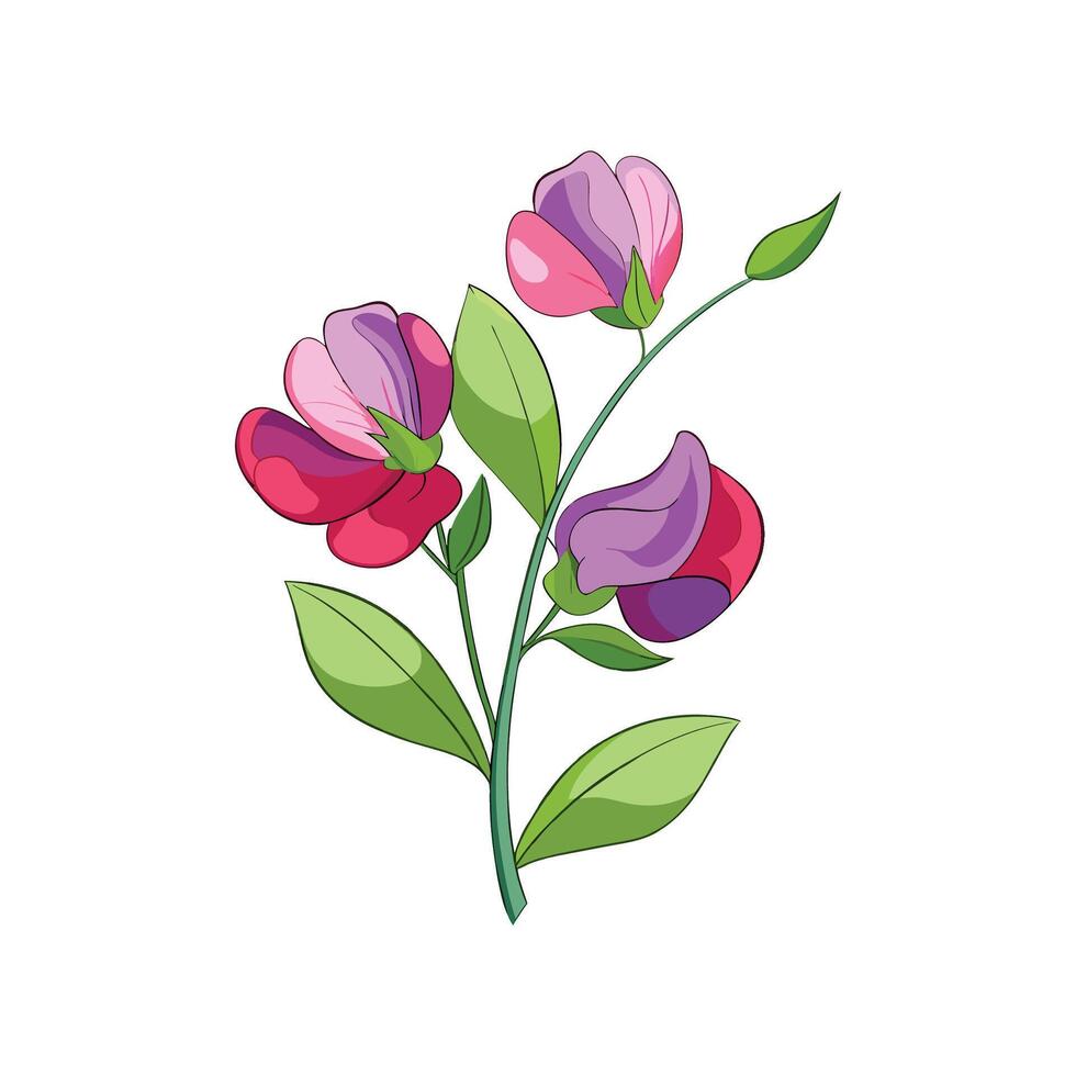 Charming Sweet Pea Plant Design. vector
