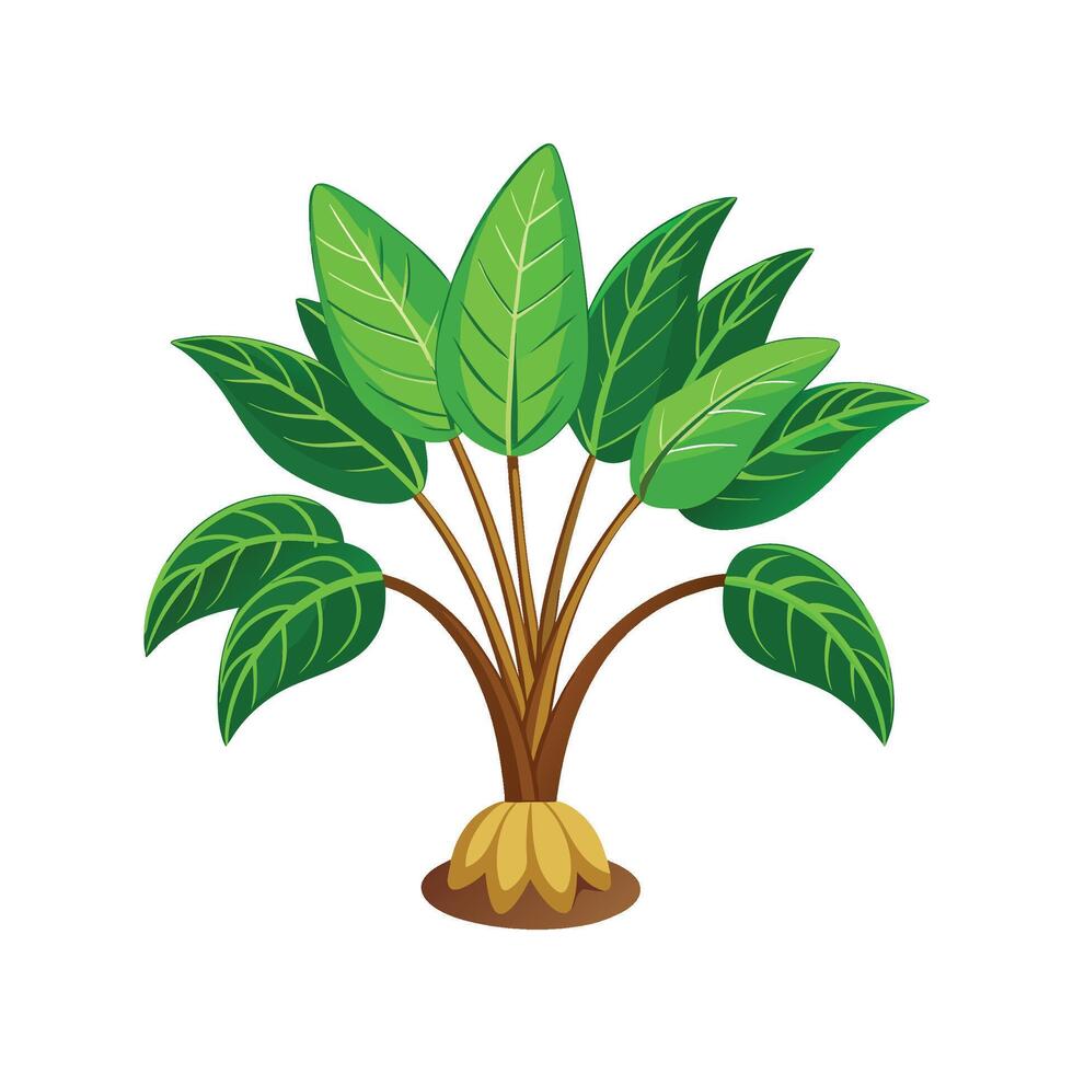 Beautiful Tacca Palm for Creative Projects vector