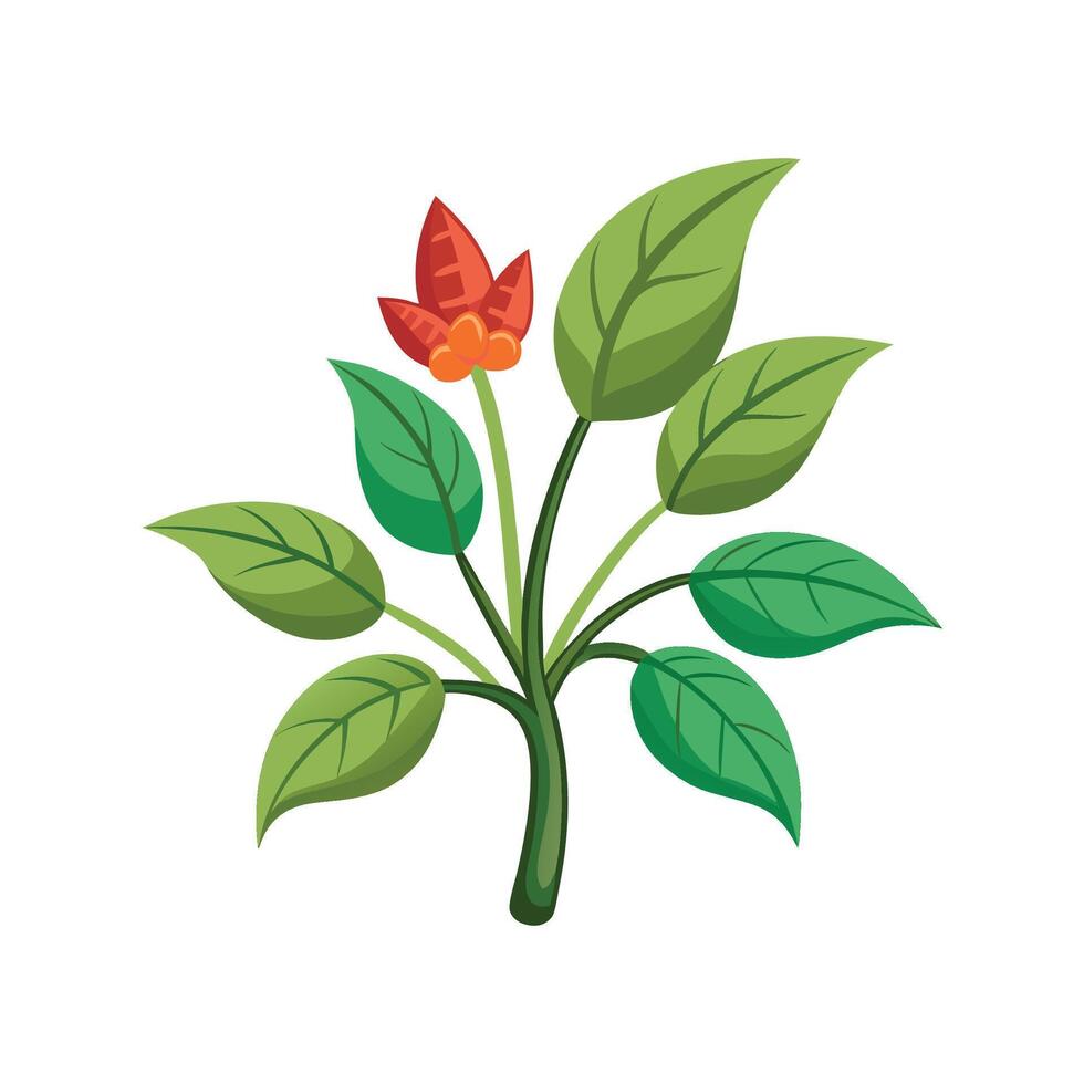 Artistic Taffeta Plant Design vector