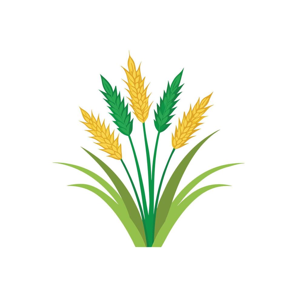 Elegant Melinis Grass for Nature Decor vector