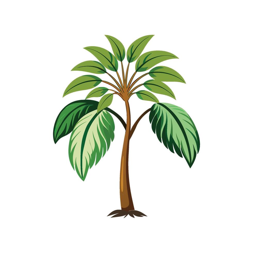 Elegant Tacca Palm for Nature Decor vector