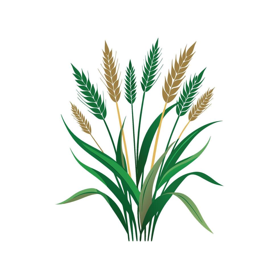 Artful Melinis Grass for Creative Projects vector