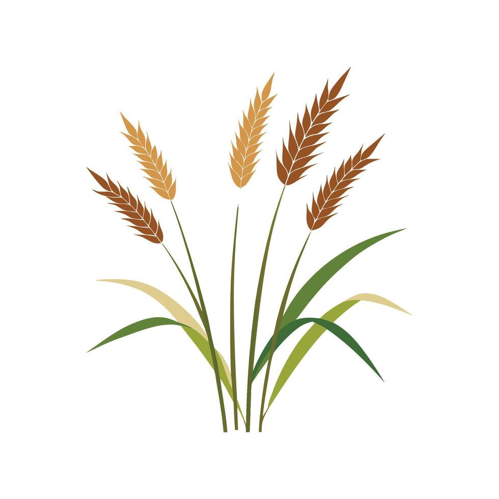 Elegant Talin Grass Plant Illustration vector