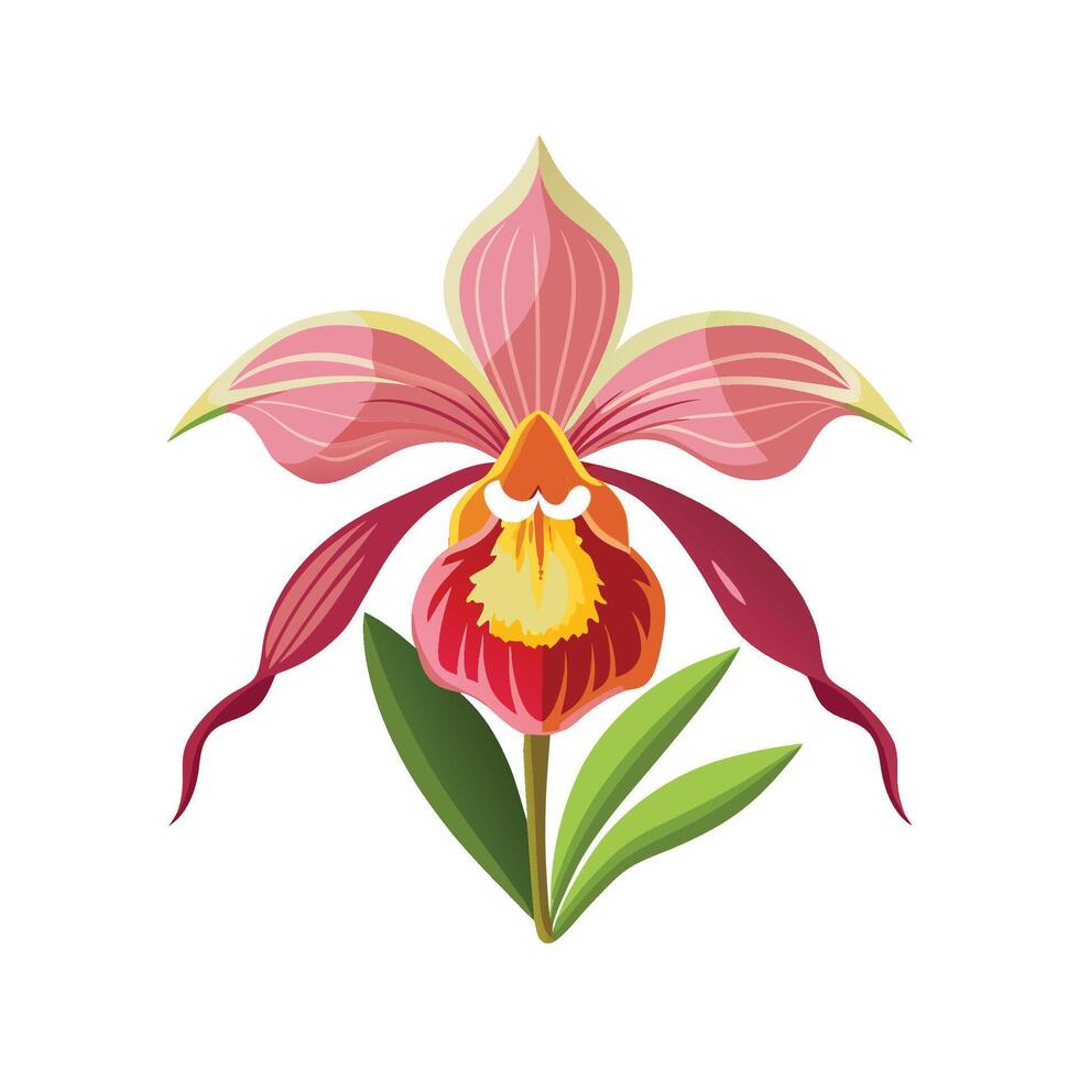 Artful Terrestrial Orchid for Creative Projects vector
