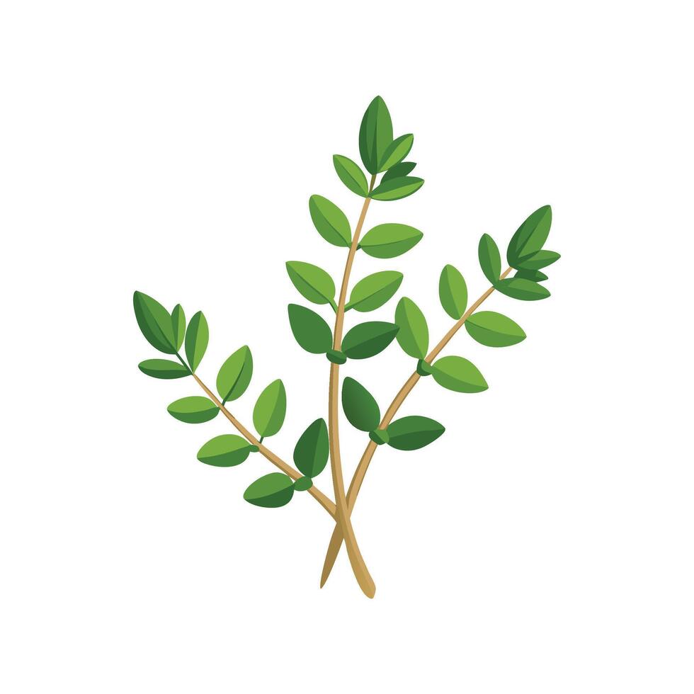 Artful Thyme for Creative Recipes vector