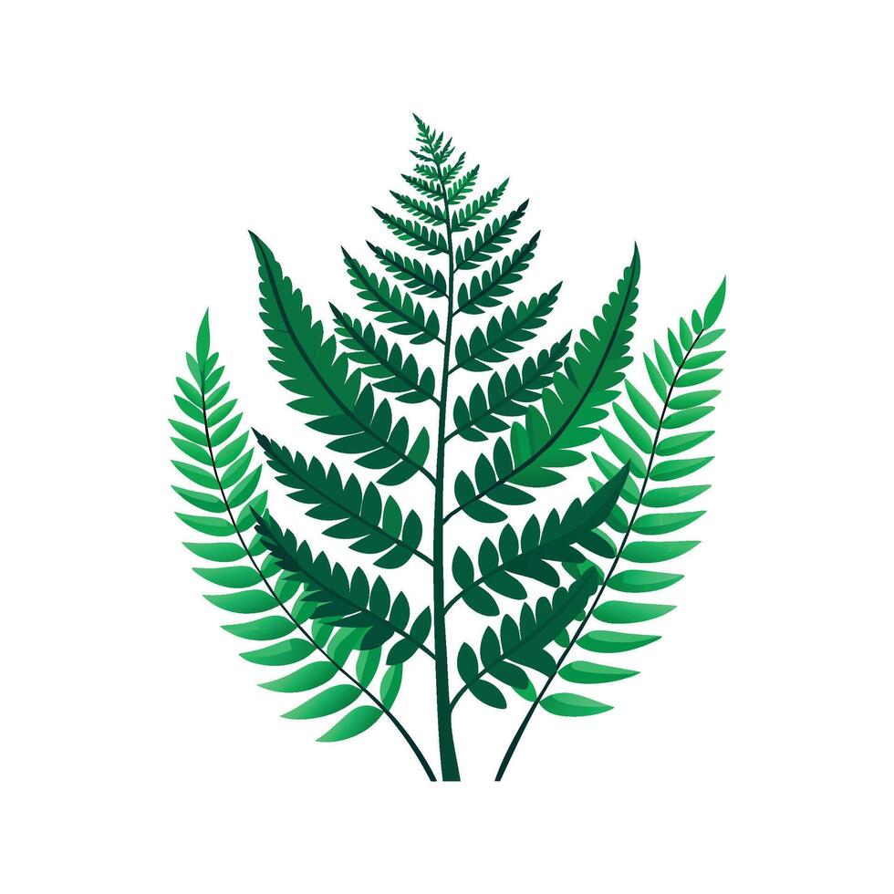 Artful Tiger Fern for Nature Lovers vector