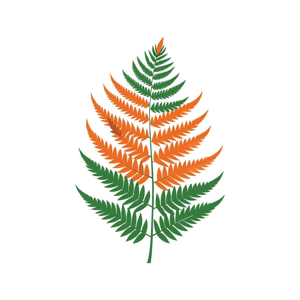 Stylish Tiger Fern for Creative Projects vector