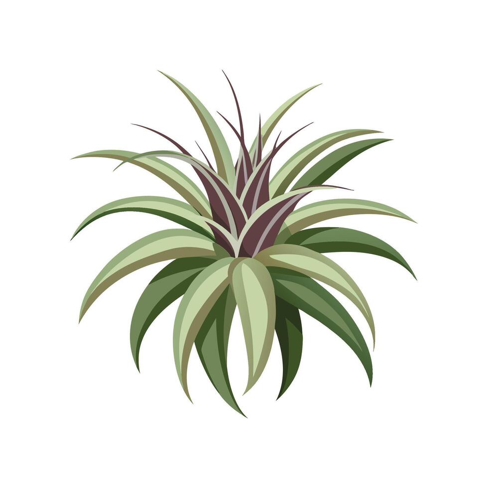 Charming Xerographica for Nature Lovers vector