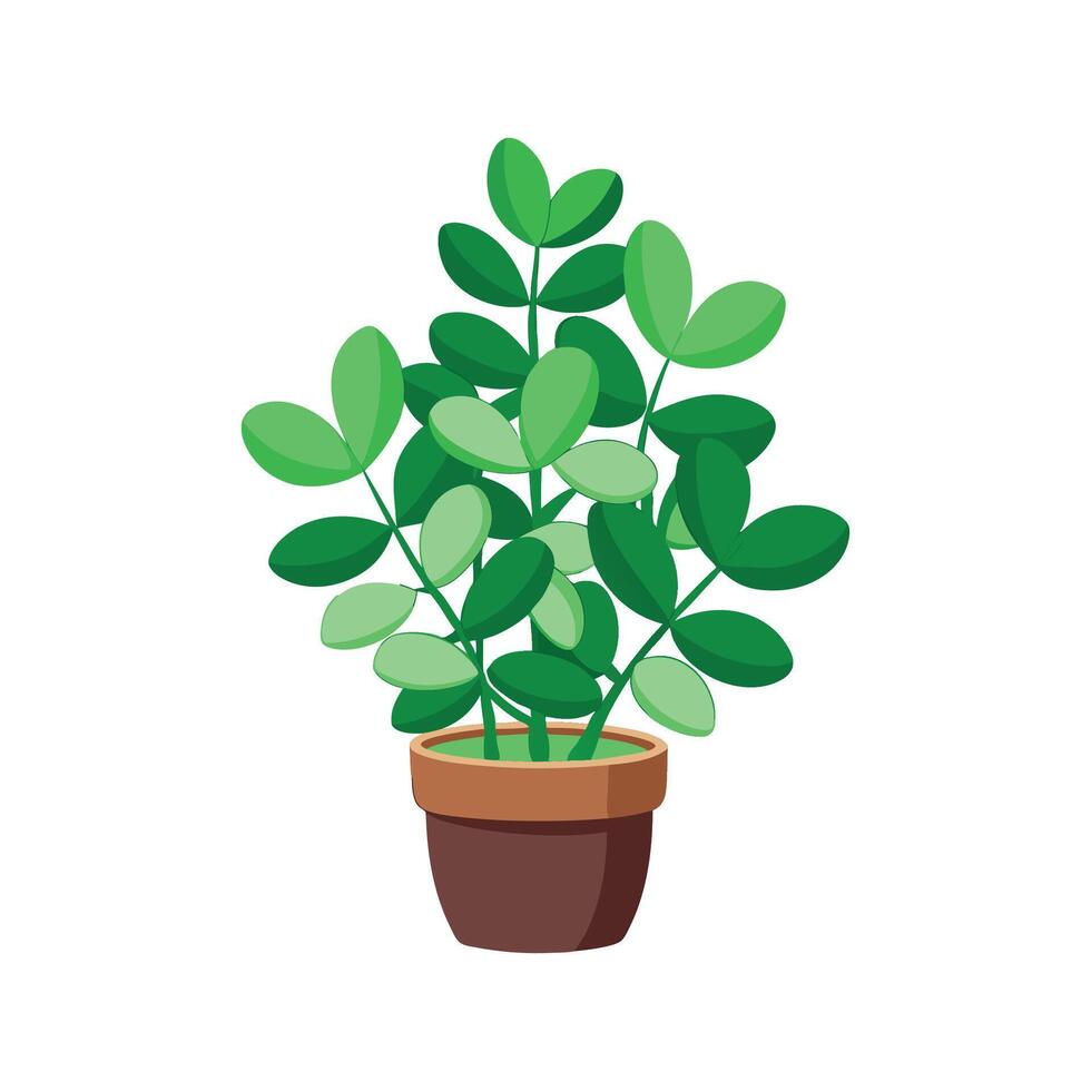 Artful Trailing Jade for Creative Projects vector