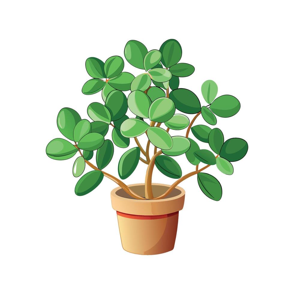 Elegant Peperomia Prostrata for Creative Uses vector