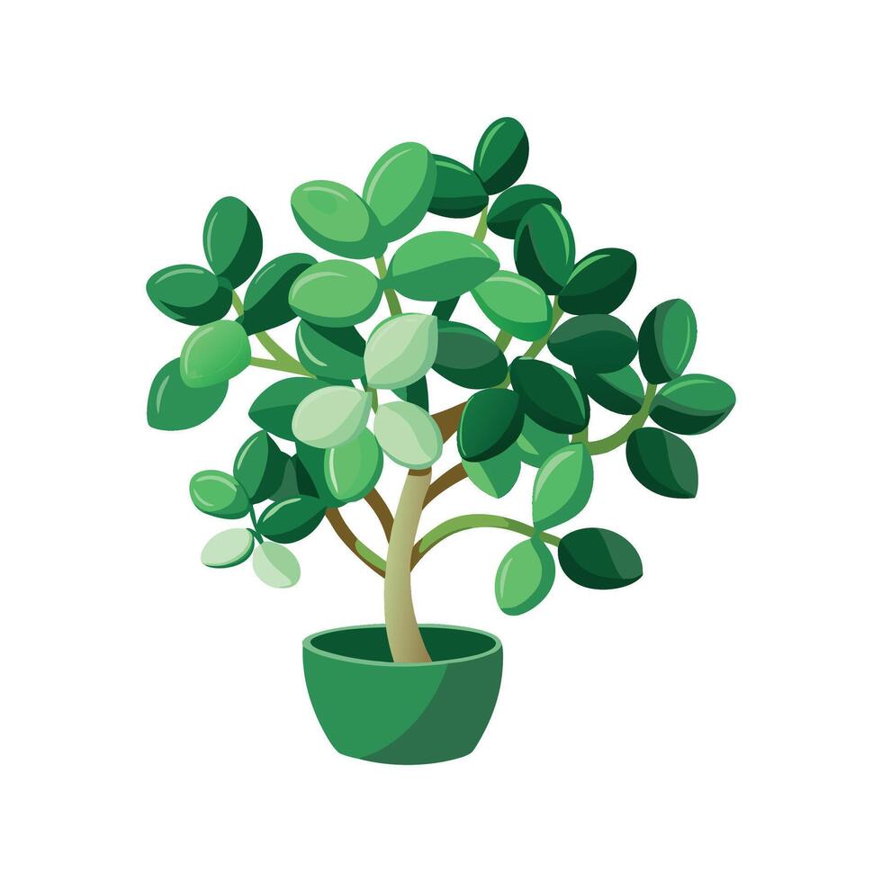 Charming Peperomia Prostrata for Home Aesthetics vector