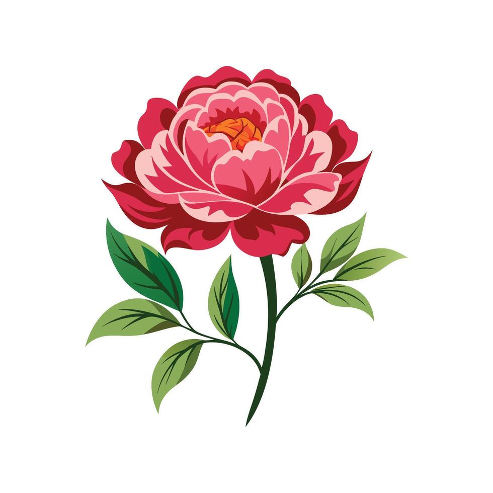 Elegant Tree Peony for Nature Lovers vector