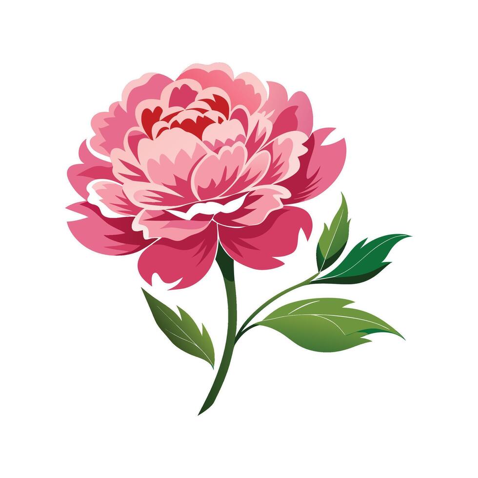 Charming Tree Peony for Unique Decor vector