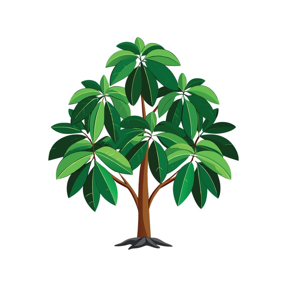 Artful Schefflera Actinophylla for Creative Projects vector