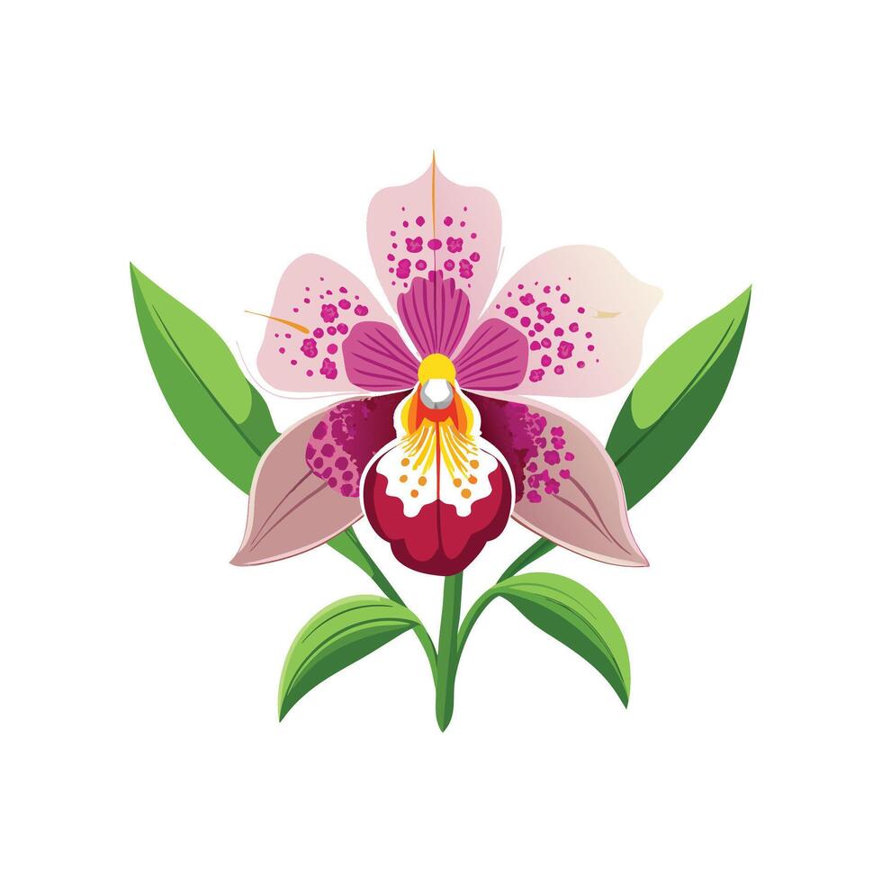 Beautiful Vanda Orchid for Creative Projects vector
